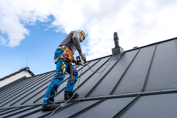 Best Solar Panel Roofing Installation  in Smithville, TN